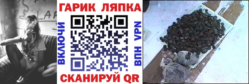 ГАШ Изолятор  Комсомольск 
