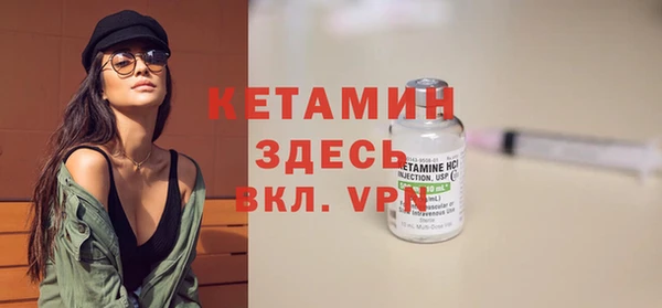дживик Пересвет